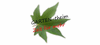 Gartengestaltung Marco Theim